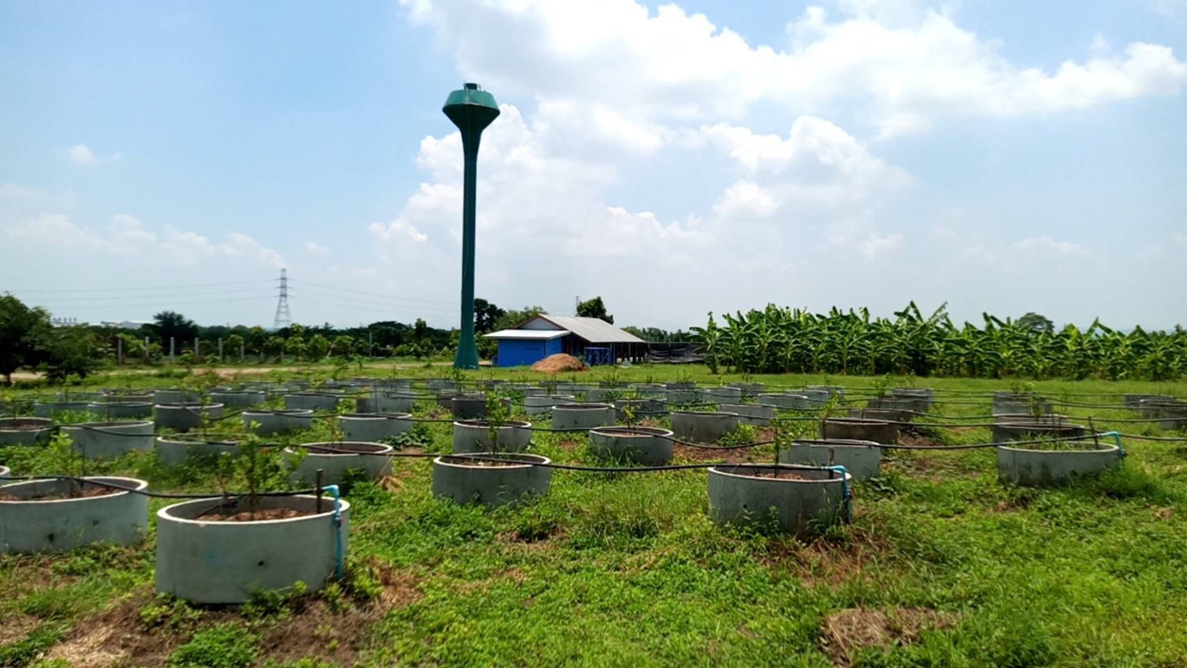 T.E.C. Smart Farmer เกษตรผสมผสาน